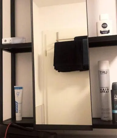 12 Km From Frankfurt Center オッフェンバッハ